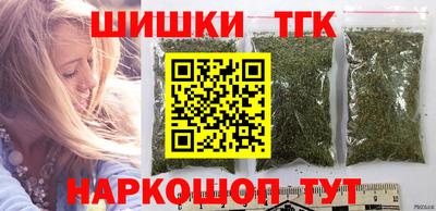 бошки Кингисепп