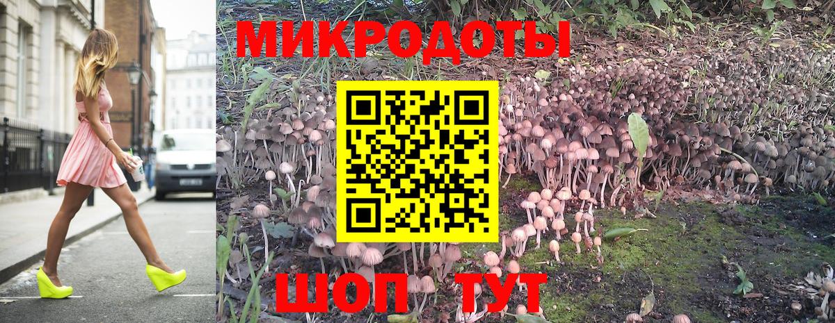 Благовещенск  Галлюциногенные грибы Magic Shrooms  Псилоцибиновые грибы Psilocybe  где найти   Вход с VPN 